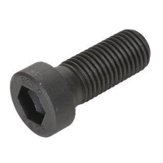 Alacsonyfejű bkny csavar DIN 6912  M6x12  8.8  Natúr