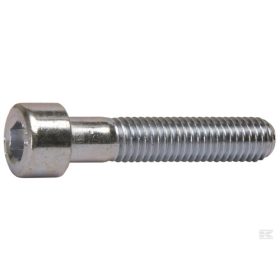 Belsőkulcsnyílású csavar DIN 912  M2x6  8.8  Horganyzott